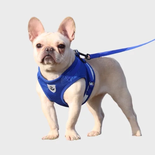 Pet Supplies